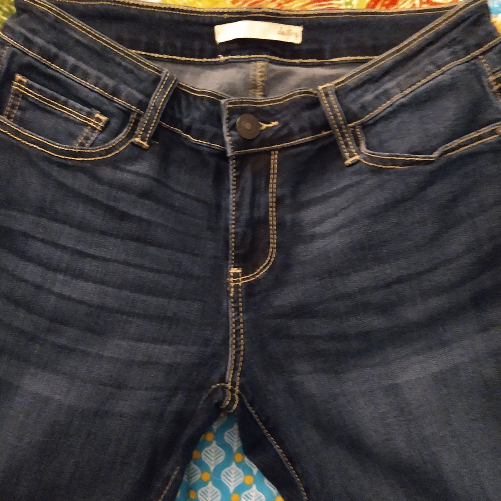 Daytrip Virgo Skinny Blue Jeans 28 long